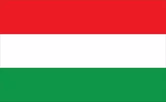 Pesquisa de Mercado e pesquisas online na Hungria