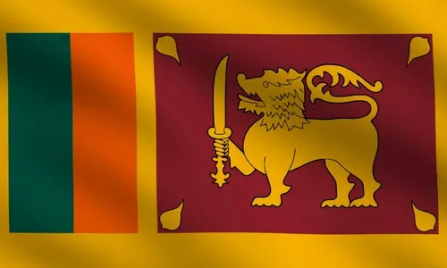 Pesquisa de Mercado e pesquisas online na Sri Lanka