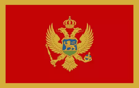 Estudos de pesquisa de mercado na Montenegro