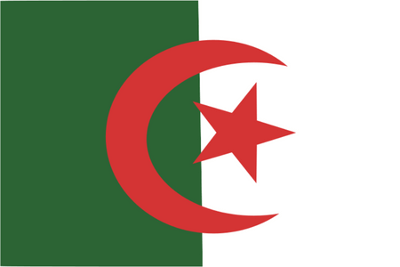 Pesquisa de mercado móveis e online na Argélia