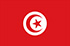 Pesquisa de mercado mobile e painéis online na Tunísia