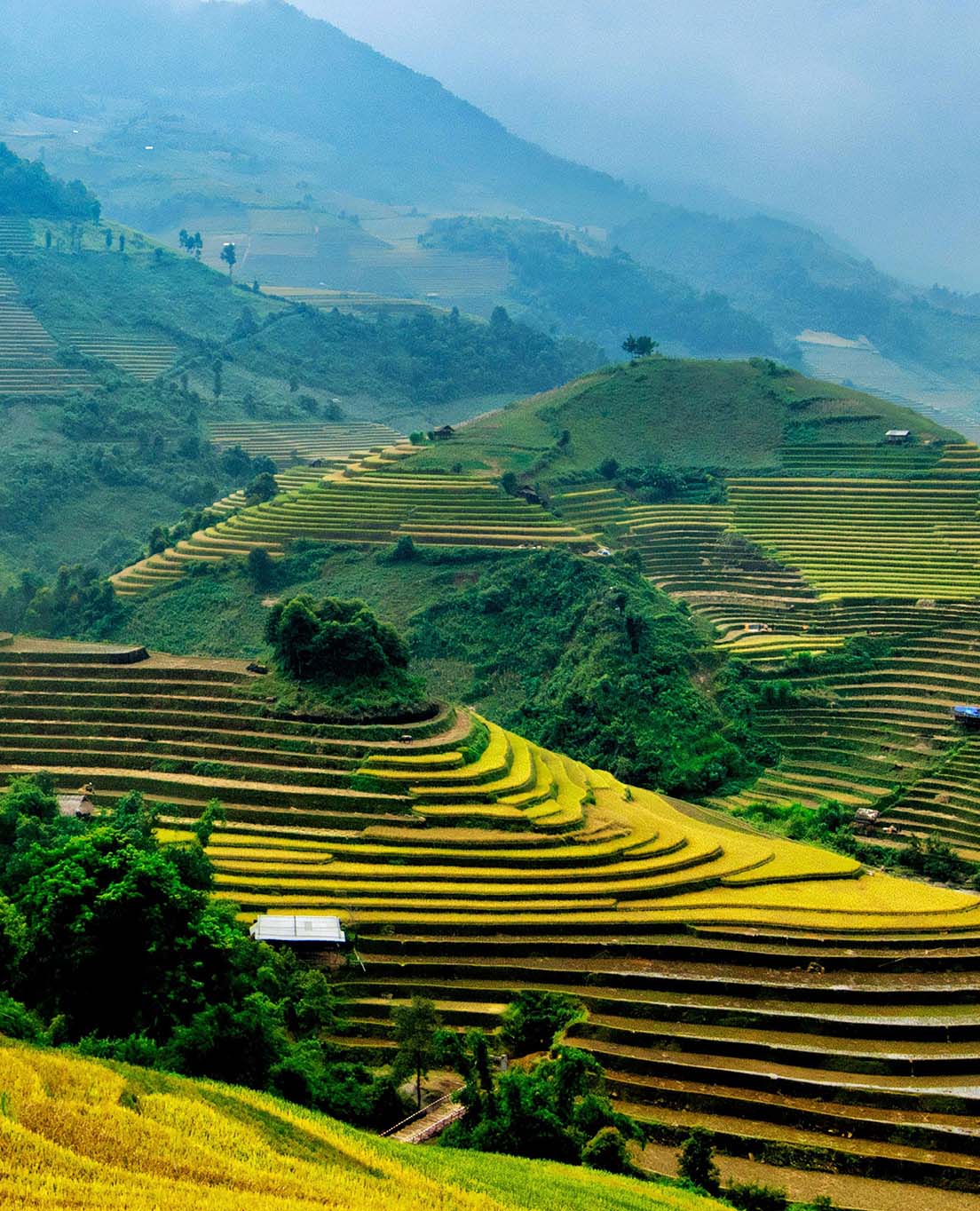 Vietname de relance 
