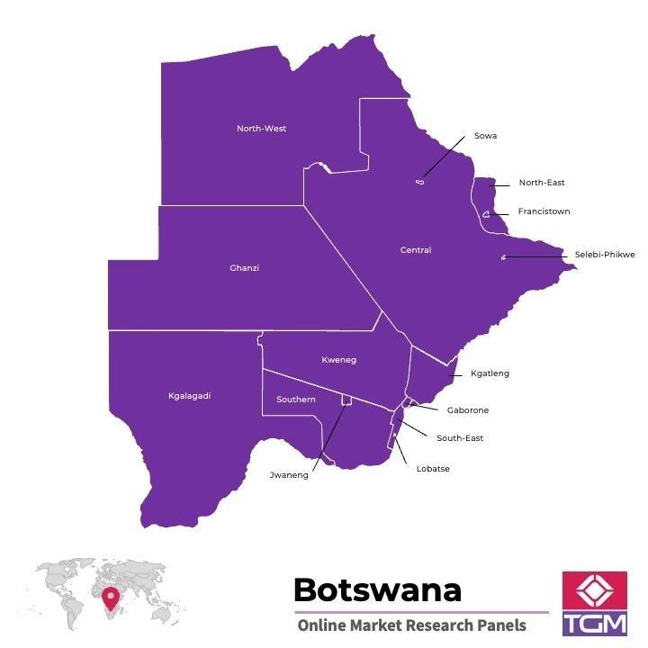 Painel online na Botsuana