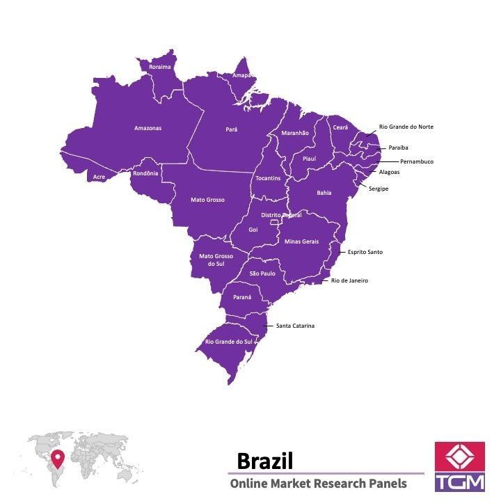 Painel online no Brasil 
