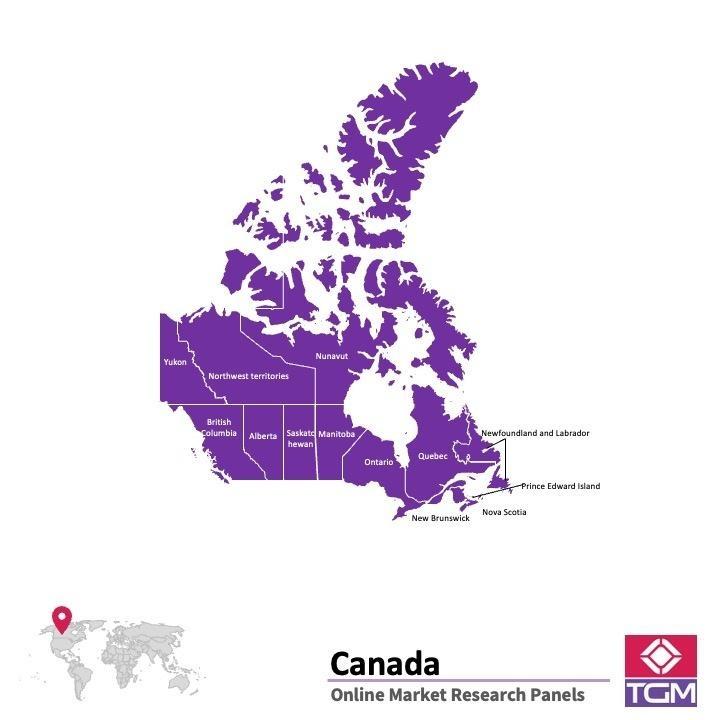 Painel online no Canadá
