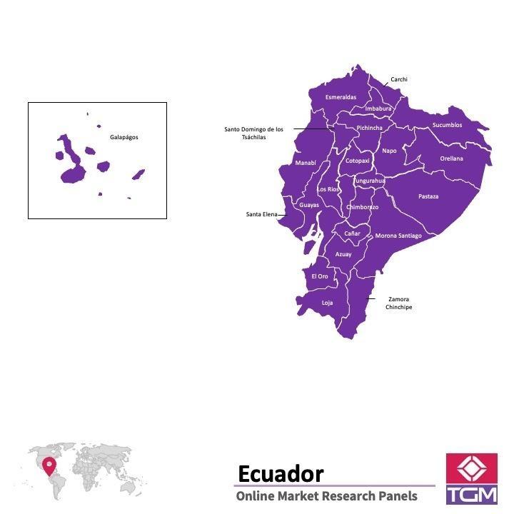 Painel online na Equador
