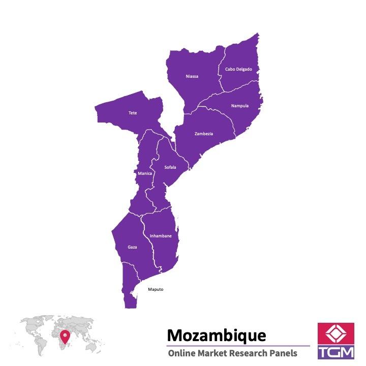 Painel online na Moçambique