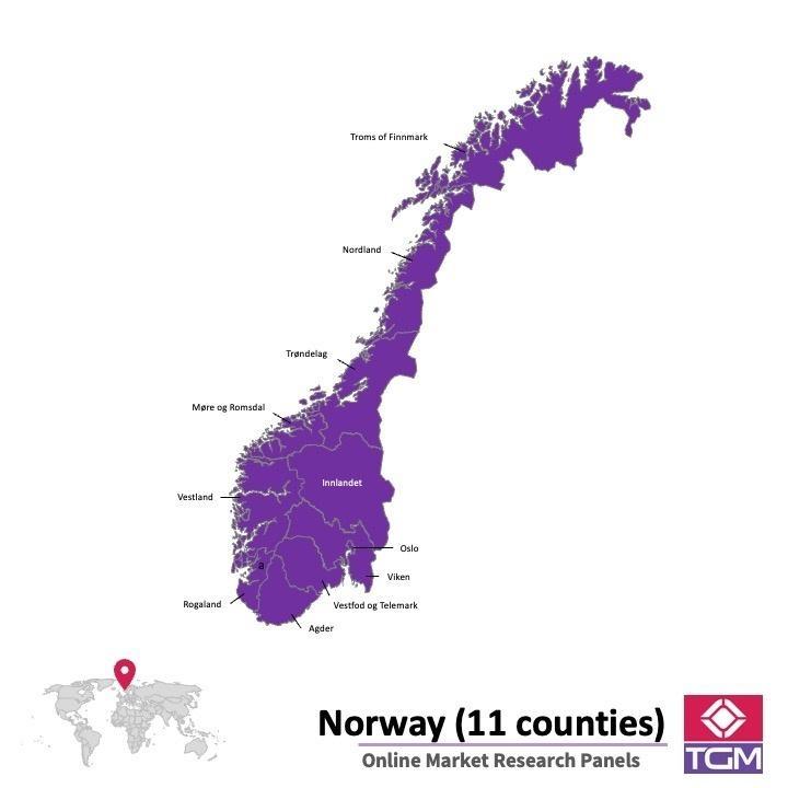 Painel online na Noruega