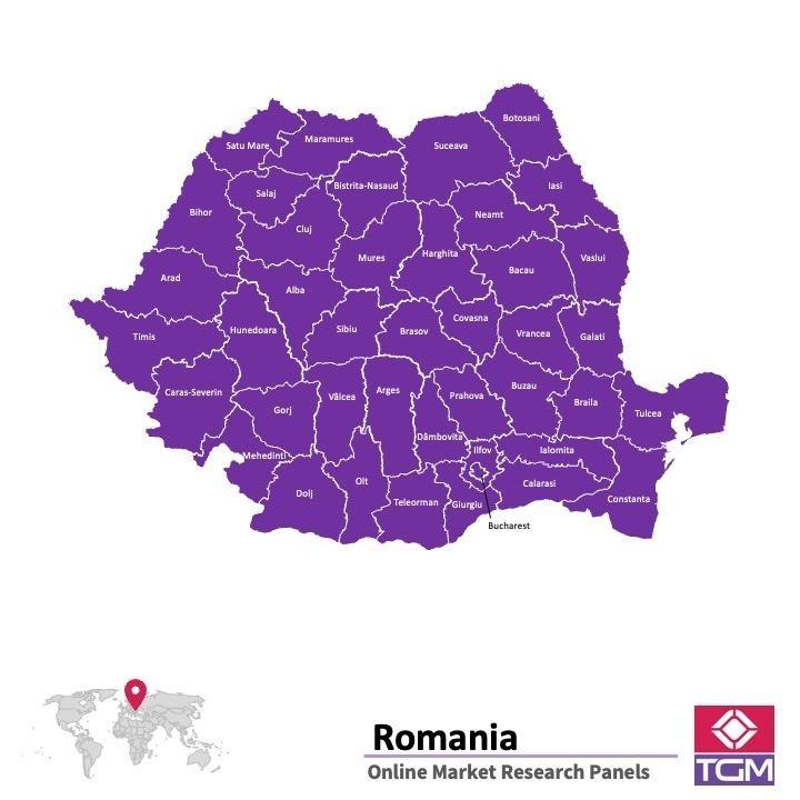 Painel online na Roménia