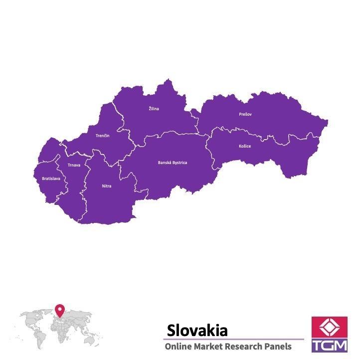 Painel online na Eslováquia