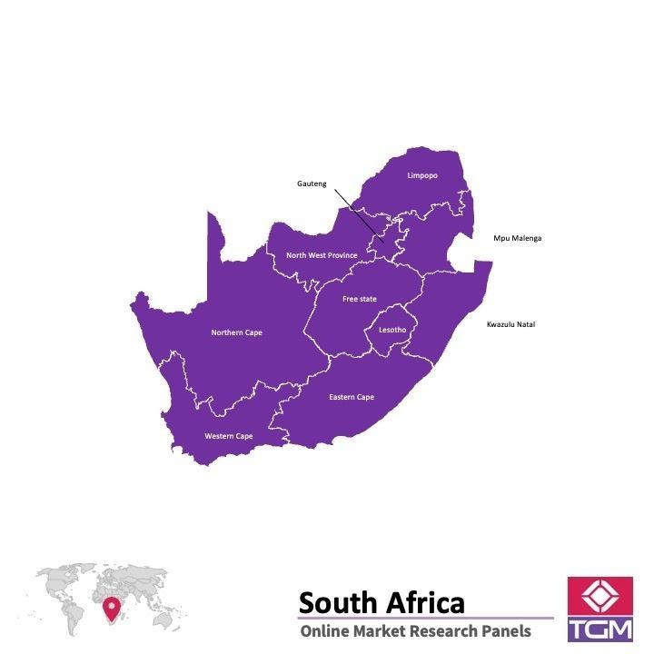 Painel online na África do Sul