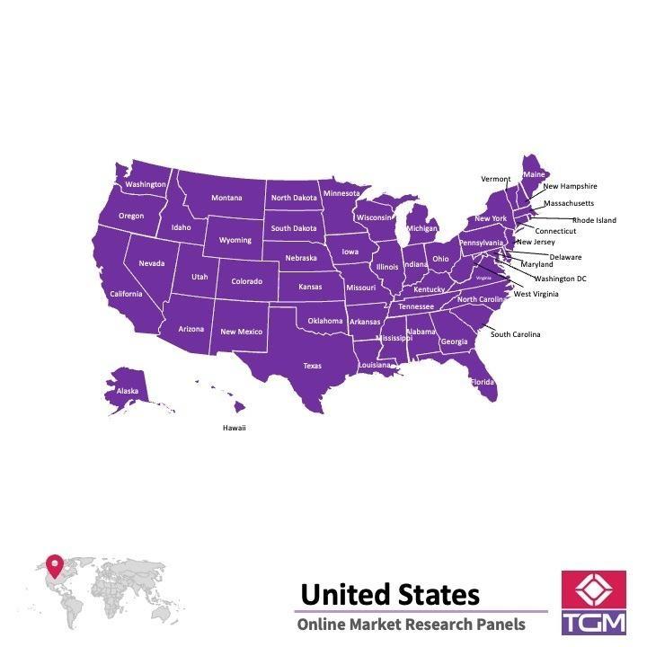 Painel online nos Estados Unidos 