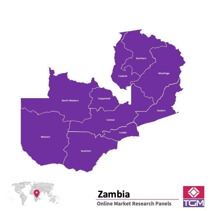 Painel online na Zâmbia 