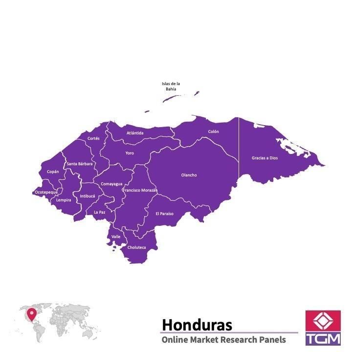 Painel online na Honduras 
