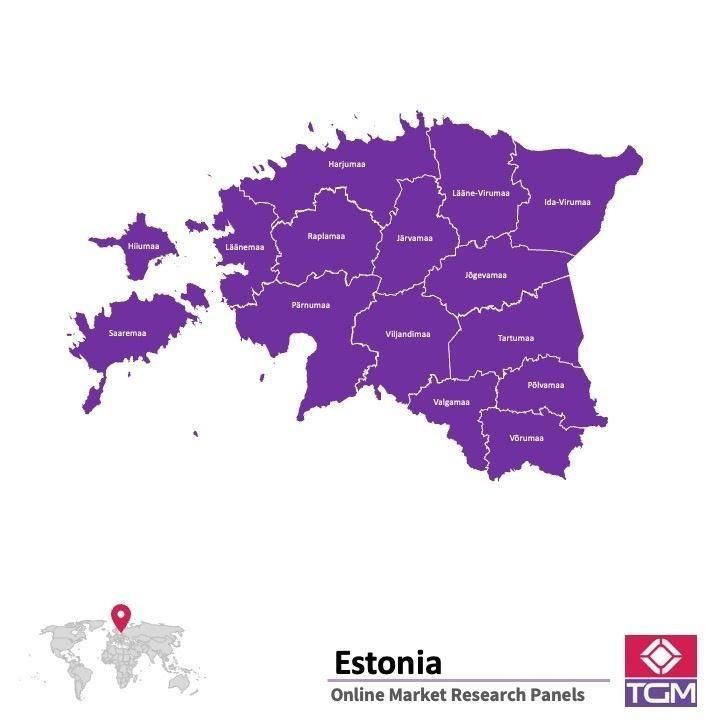 Painel online na Estónia 