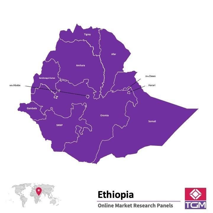 Painel online na Etiópia 