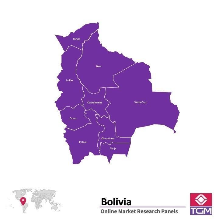 Painel online na Bolívia 