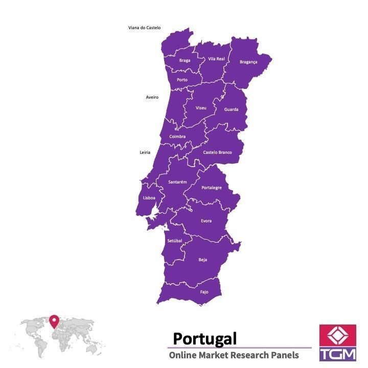 Painel online na Portugal 
