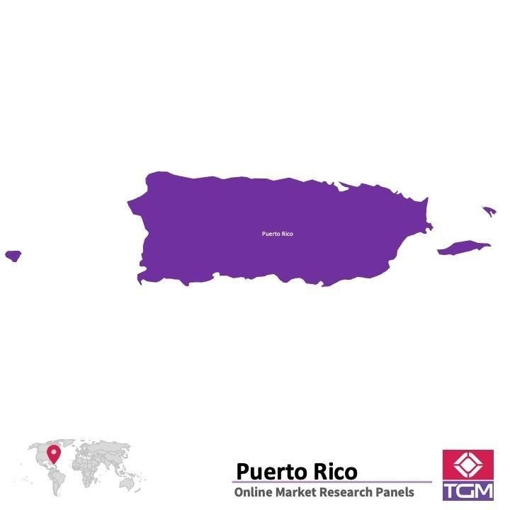 Painel online na Porto Rico 