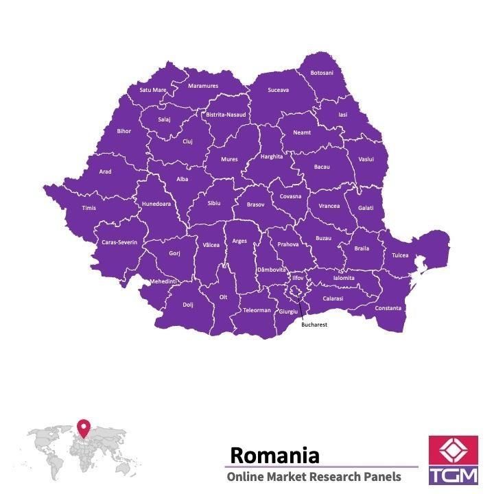 Painel online na Roménia 