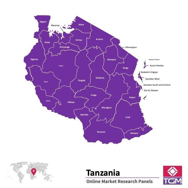Painel online na Tanzânia 